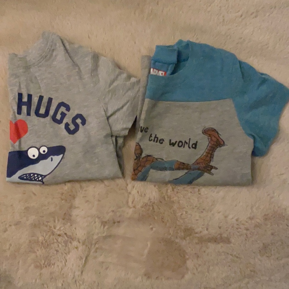Lot of 2 boys tshirts. Size 2T.